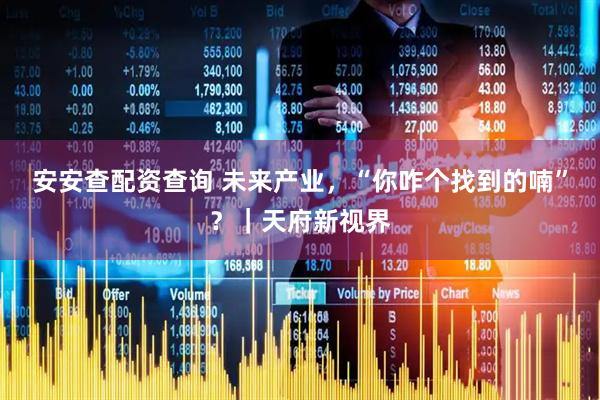 安安查配资查询 未来产业，“你咋个找到的喃”？｜天府新视界